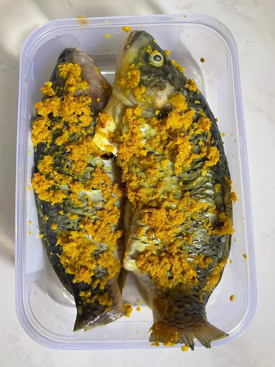 Ikan Mas