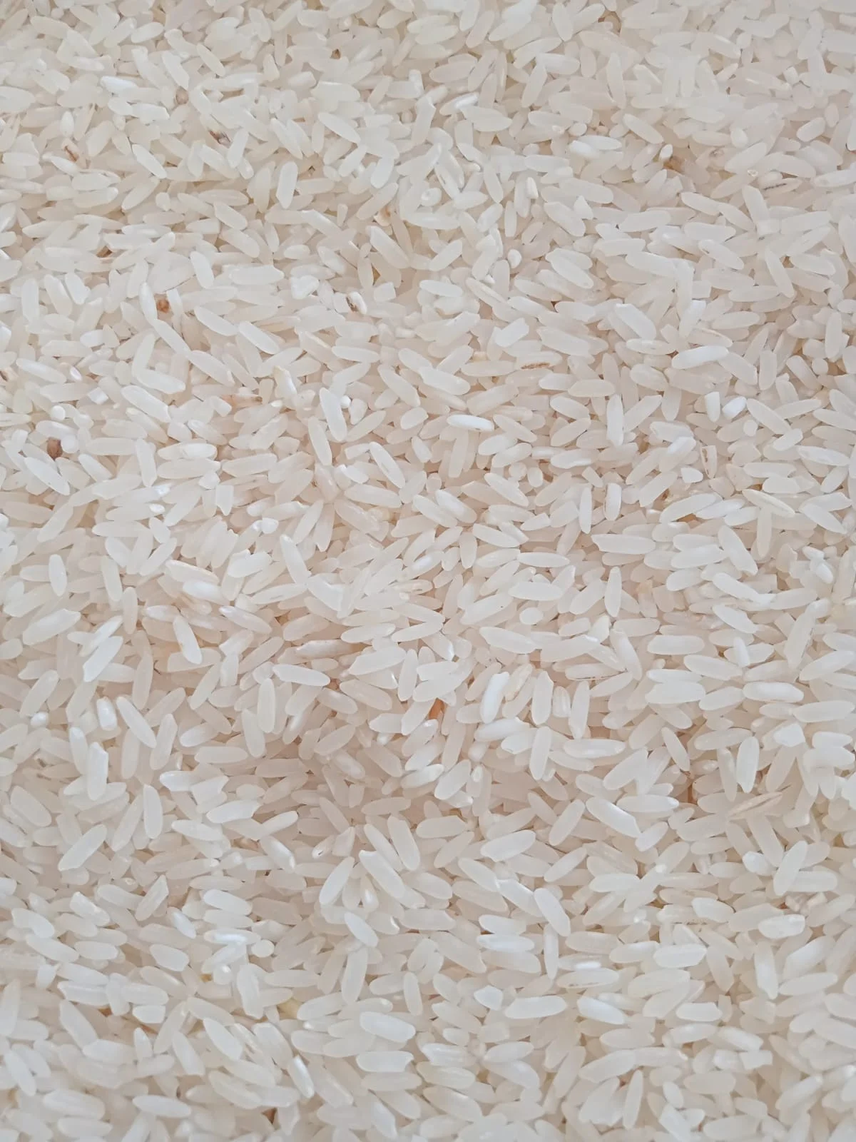 BERAS Mapan Wangi 18000