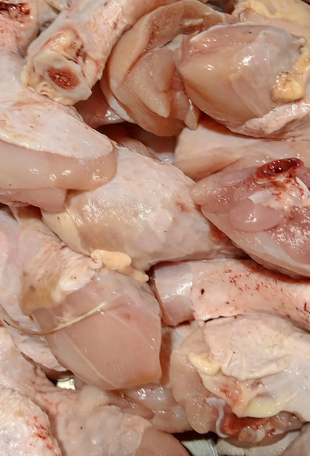 Ayam paha bawah